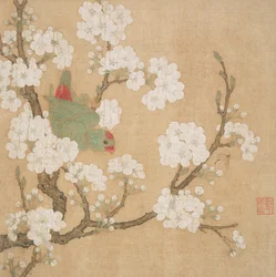 Papagei und Insekt unter Birnenblüten